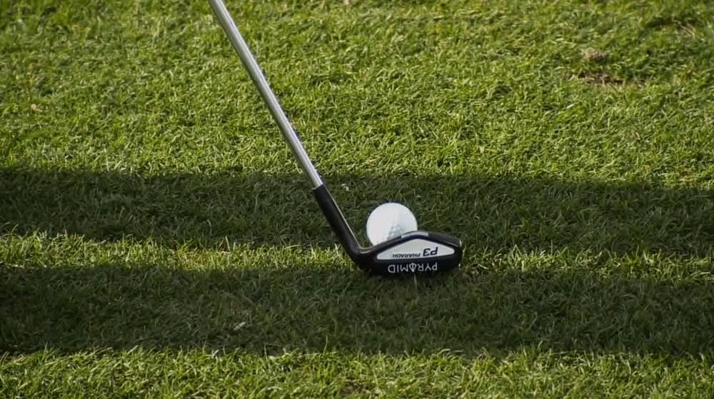 P3 Pharaoh Wedge | Flash Sale