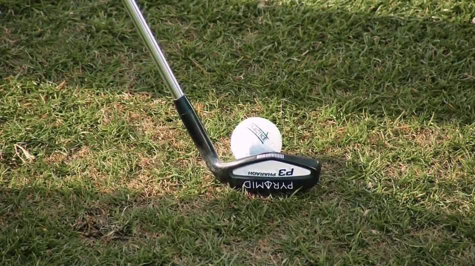 P3 Pharaoh Wedge | Flash Sale